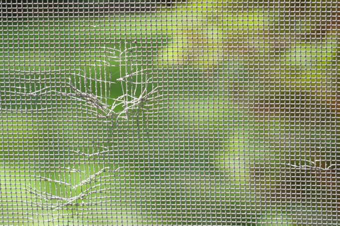 Bugs Out, Breeze In How to Maintain Your Window Screens.jpg